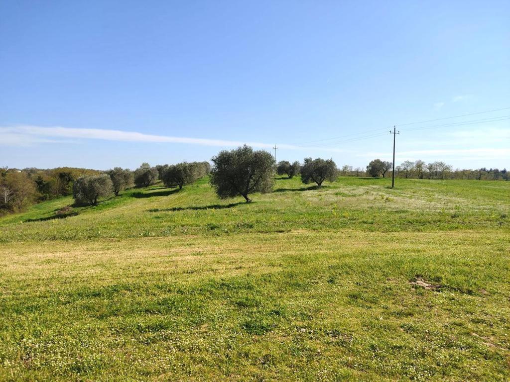 Podere San Giuseppe Acquapendente Extérieur photo